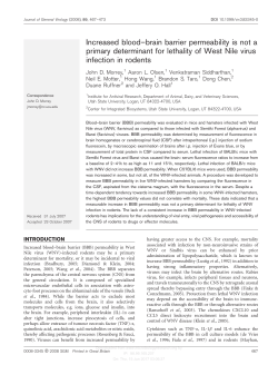 Increased blood&ndash;brain barrier permeability is not a primary