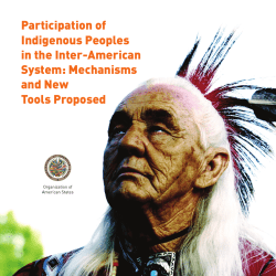 Participation of Indigenous Peoples in the Inter