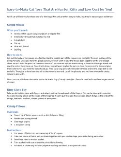 Easy-to-Make Cat Toys That Are Fun for Kitty and Low Cost for You!