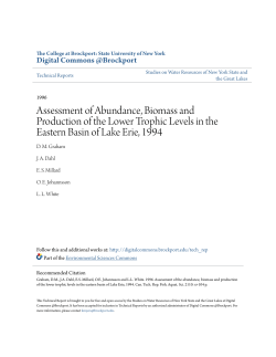 Assessment of Abundance, Biomass and Production of the Lower