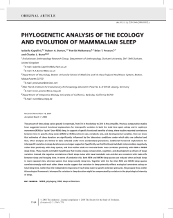 phylogenetic analysis of the ecology and