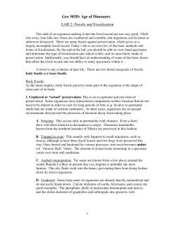 Geo 302D: Age of Dinosaurs LAB 2: Fossils and Fossilization