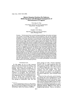 Mitotic Domains Partition Fly Embryos, Reflecting Early Cell