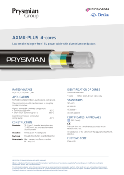 AXMK-PLUS 4-cores