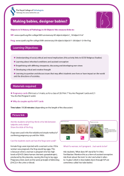 Making Babies: Activity Toolkit