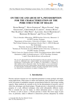 on the use and abuse of n2 physisorption for the characterization of