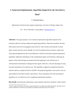 A Numerical Optimization Algorithm Inspired by the Strawberry Plant