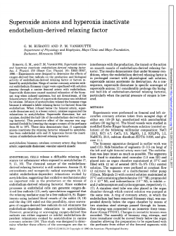 Superoxide anions and hyperoxia inactivate endothelium