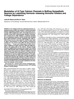 Modulation of N-Type Calcium Channels in Bullfrog Sympathetic