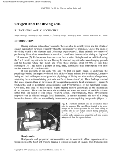 Oxygen and the diving seal. - Rubicon Research Repository
