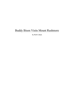 Buddy Bison Visits Mount Rushmore