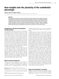 New insights into the plasticity of the endothelial phenotype