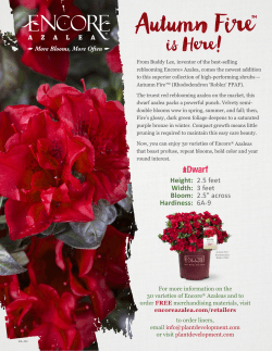 Height: Width: Bloom: Hardiness: 2.5 feet 3 feet 2.5&rdquo; across 6A-9