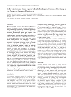 Deforestation and forest regeneration following small