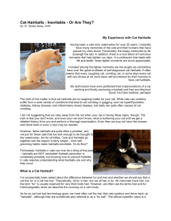 Cat Hairballs - Inevitable - Or Are They?