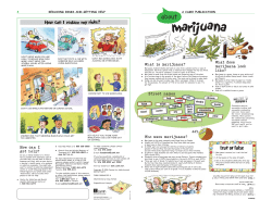 About Marijuana