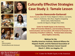 Case Study 1 - Center for Health Equity in the Americas