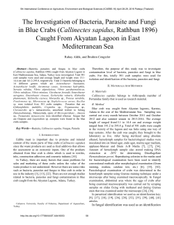 The Investigation of Bacteria, Parasite and Fungi in Blue Crabs
