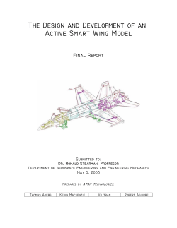 Final Report - Ae.utexas.edu - The University of Texas at Austin