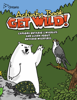 Get Wild Activity Book