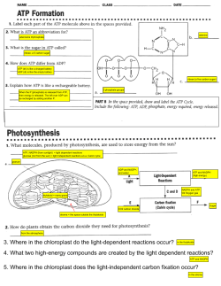 3 phosphate groups adenine ribose (a five carbon sugar) adenosine