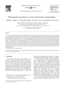 Phylogenetic hypotheses for the turtle family Geoemydidae