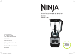 Professional Blender
