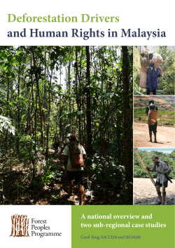 Deforestation Drivers and Human Rights in Malaysia