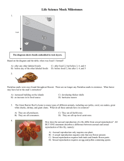 Life Science Mock Milestones