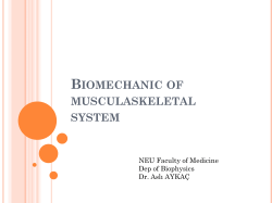 Biomechanic of skeleton system.