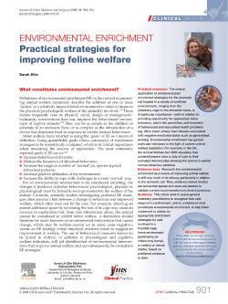 Untitled - Michigan State University