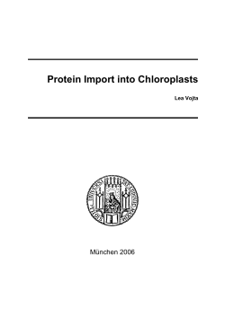 Protein Import into Chloroplasts