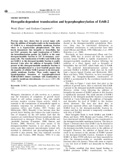 Heregulin-dependent translocation and