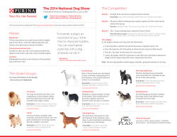 The Competition The Seven Groups History The 2014