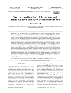 Structure and function of the mesopelagic microbial loop in the NW