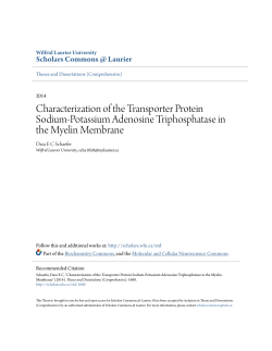 Characterization of the Transporter Protein Sodium