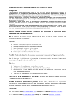 Life history of the blood parasite Hepatozoon theileri