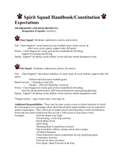 Spirit Squad Handbook/Constitution