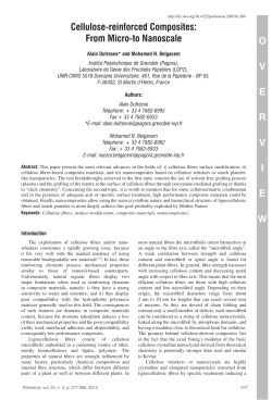OVERVIEW Cellulose-reinforced Composites