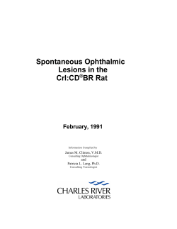 Spontaneous Ophthalmic Lesions in the Crl:CD&reg;BR Rat (February