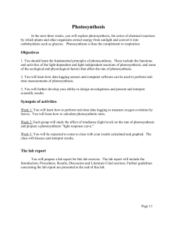 Photosynthesis Investigation