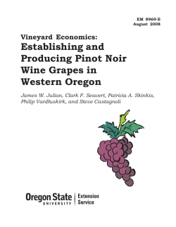 establishing and producing Pinot noir wine grapes in western Oregon