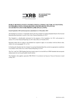 PUBLIC BENEFIT ENTITY INTERNATIONAL PUBLIC SECTOR