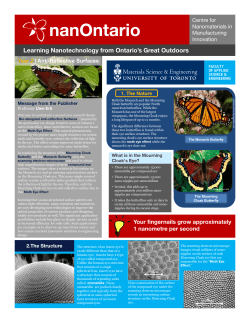 Bio-Designed Anti-Reflective Surfaces