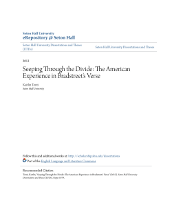 Seeping Through the Divide: The American Experience in