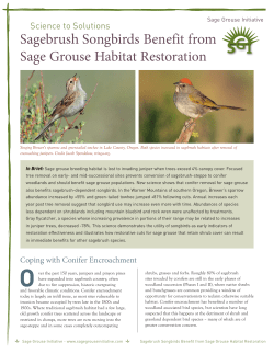 Sagebrush Songbirds Benefit from Sage Grouse - NRCS