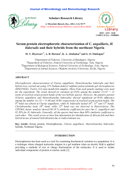 Serum protein electrophoretic characterization of C. anguillaris, H