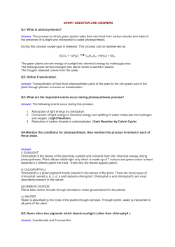 SHORT QUESTION AND ANSWERS Q1: What is photosynthesis