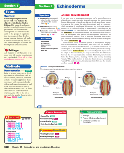 Section 1 Echinoderms
