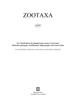 New World direct-developing frogs (Anura: Terrarana
